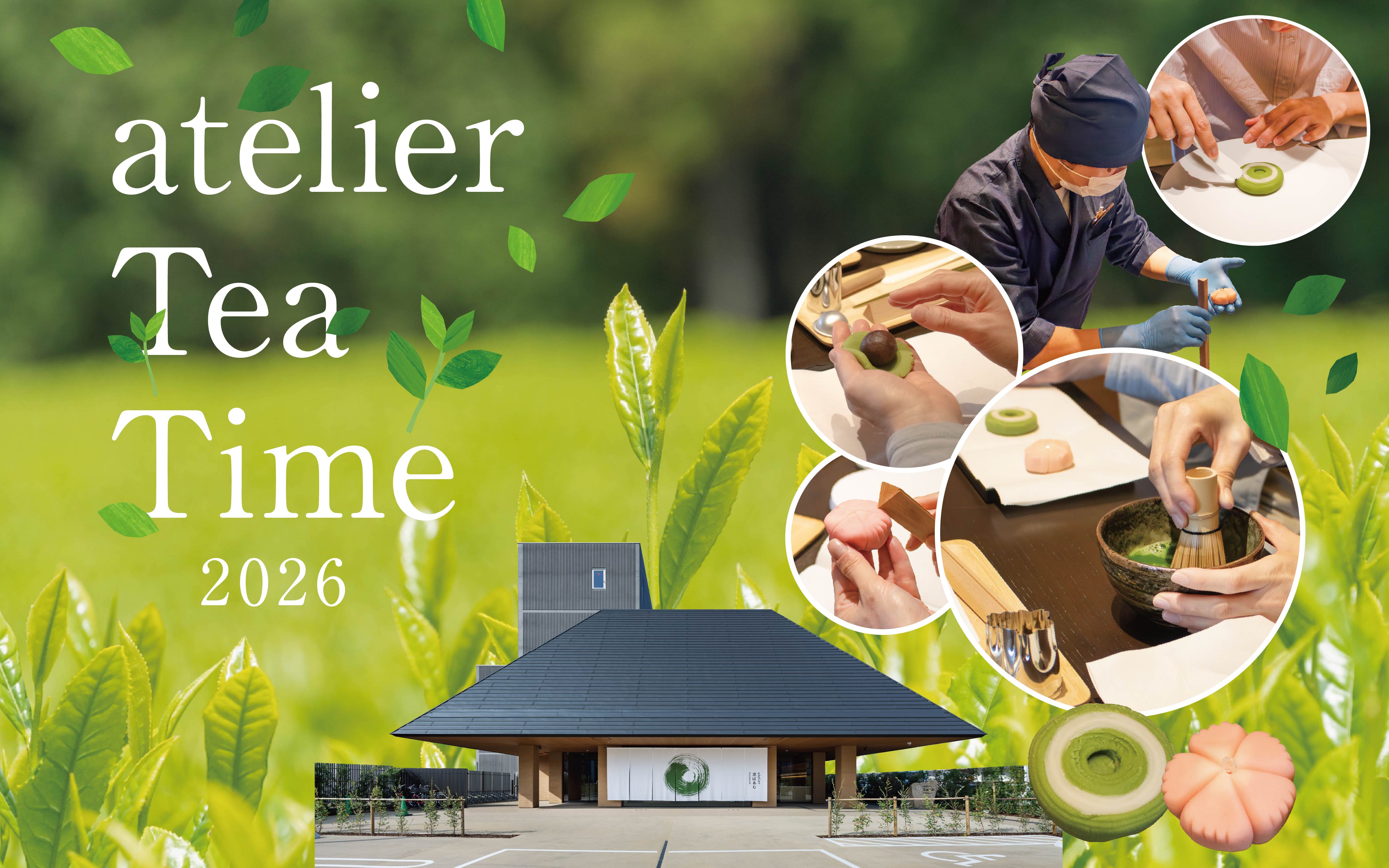 Picture of the author